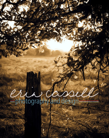 Country Sunset