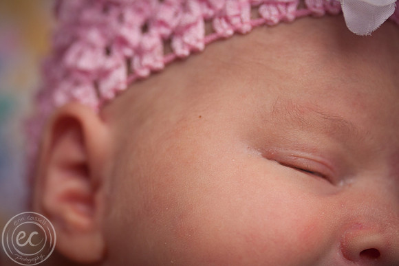 harper_newborn-002