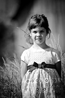 IMG_9382