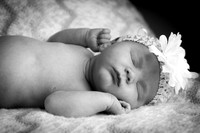 harper_newborn-137