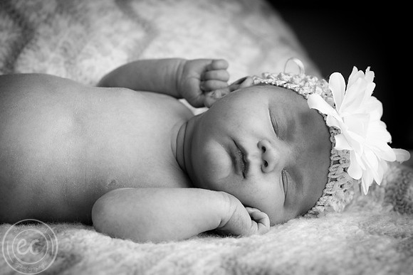 harper_newborn-137