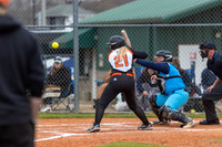 20230218-hdxsball_westminster-f018