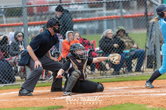 20230218-hdxsball_westminster-f098