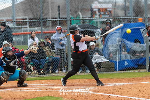 20230218-hdxsball_westminster-f105