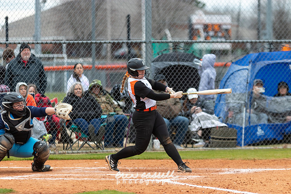 20230218-hdxsball_westminster-f111