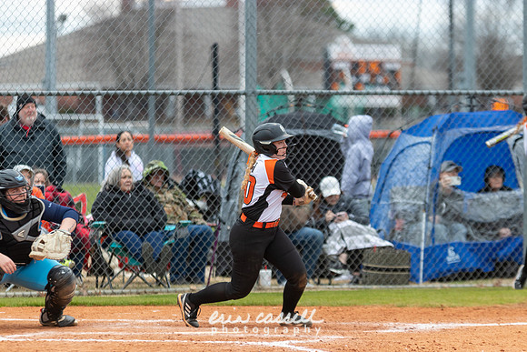 20230218-hdxsball_westminster-f113