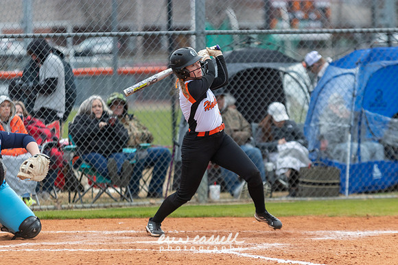 20230218-hdxsball_westminster-f137