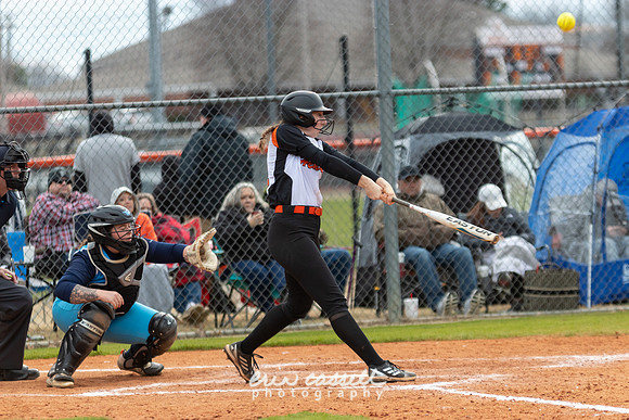 20230218-hdxsball_westminster-f144