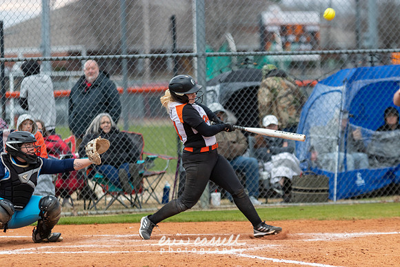 20230218-hdxsball_westminster-f157