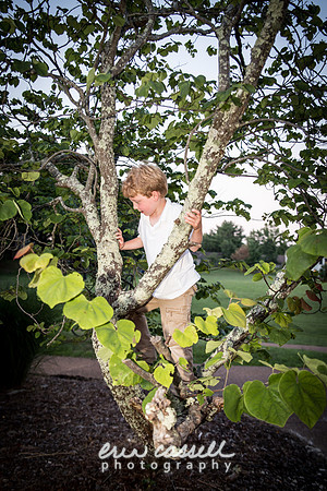 york_mann-wedding-409