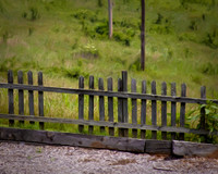 Worn Fence