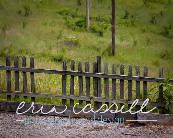 Worn Fence