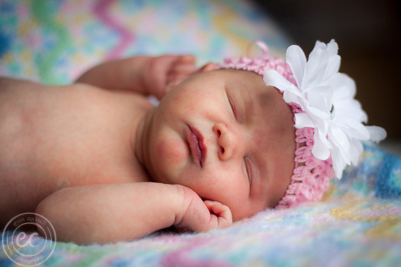 harper_newborn-131