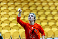20231108-hdxwbb_ozarks-f001