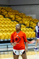 20231108-hdxwbb_ozarks-f003