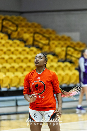 20231108-hdxwbb_ozarks-f003