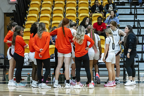 20231108-hdxwbb_ozarks-f066