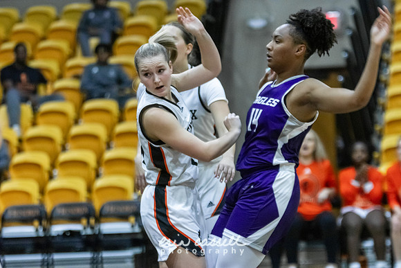 20231108-hdxwbb_ozarks-f074