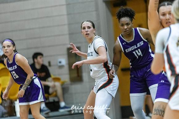 20231108-hdxwbb_ozarks-f092