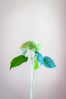 20190629-babb_lynch-0002