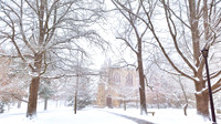 20150226_082834