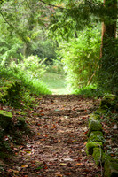 20090924-sewanee-34