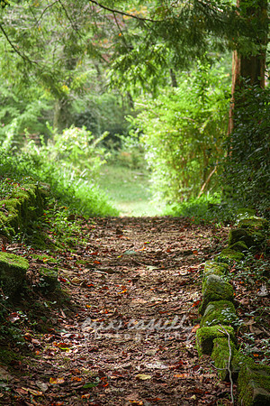 20090924-sewanee-34