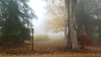 20141112_080603