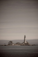 Whale Watching and Boat Trip