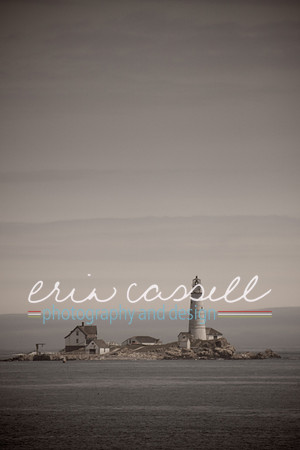 Whale Watching and Boat Trip