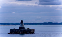 Whale Watching and Boat Trip