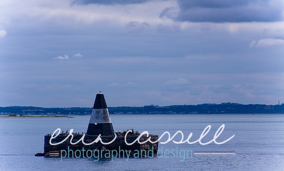 Whale Watching and Boat Trip