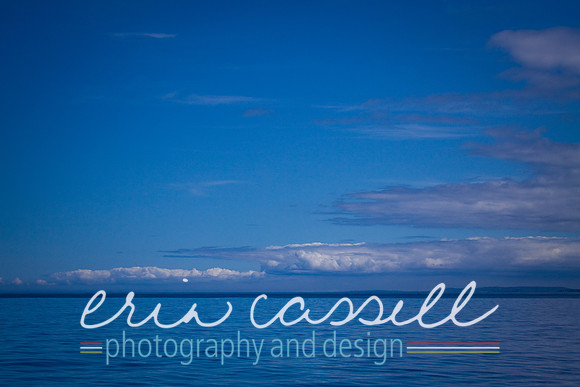 Whale Watching and Boat Trip