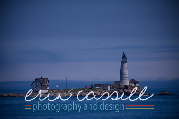 Whale Watching and Boat Trip