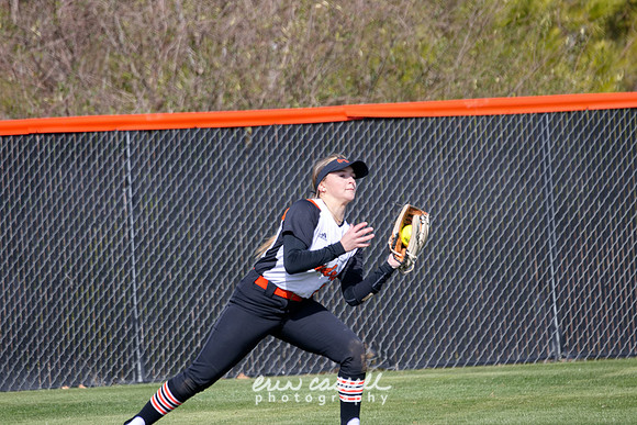 20240217-hdxsball_westminster-f010
