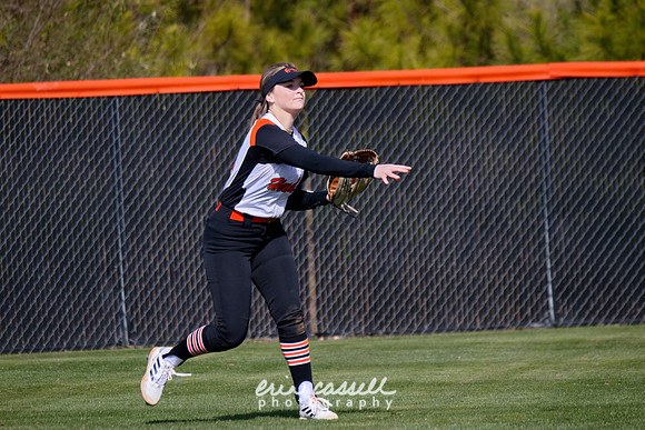 20240217-hdxsball_westminster-f012