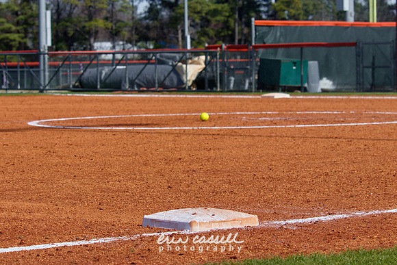 20240217-hdxsball_westminster-f036