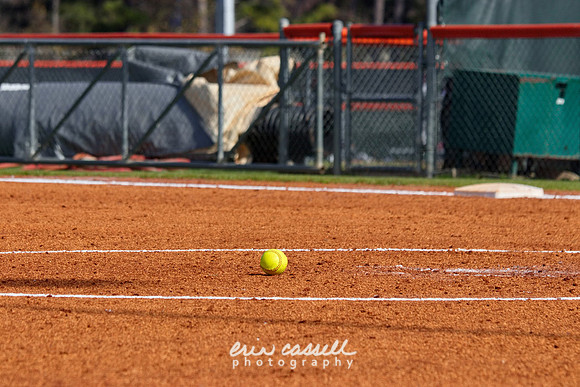 20240217-hdxsball_westminster-f038