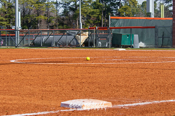 20240217-hdxsball_westminster-f037