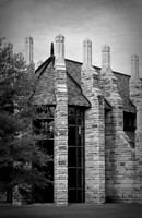 IMG_4444-2