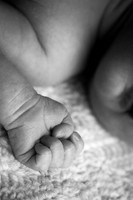 harper_newborn-008