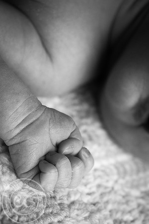 harper_newborn-008