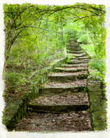 Shaded Stairs