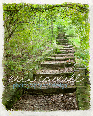Shaded Stairs