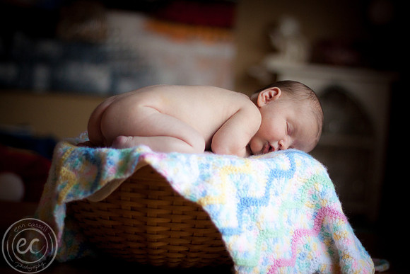 harper_newborn-019