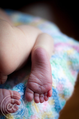 harper_newborn-061