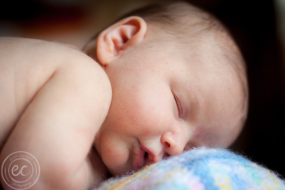 harper_newborn-001