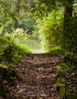 Quiet Path