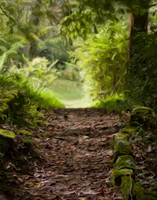 Quiet Path