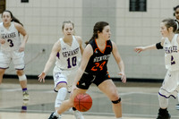 20220123-wbb_hdxsewanee-f037